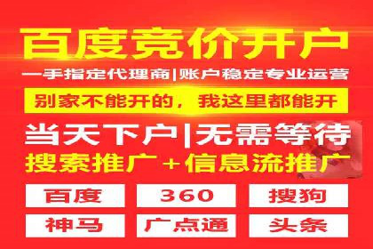某行业巨头托管竞价sem的胜利之路